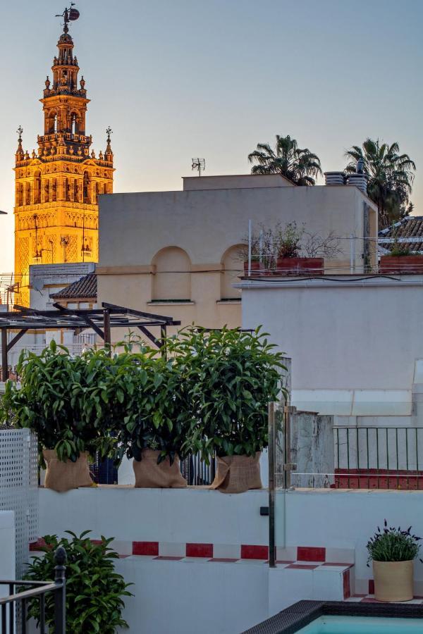 Pimienta 9- Santa Cruz Luxury By Valcambre Apartment